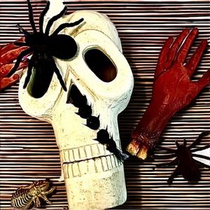 4 Skulls, 2 Bloody Cut off Arms & Furry Spiders